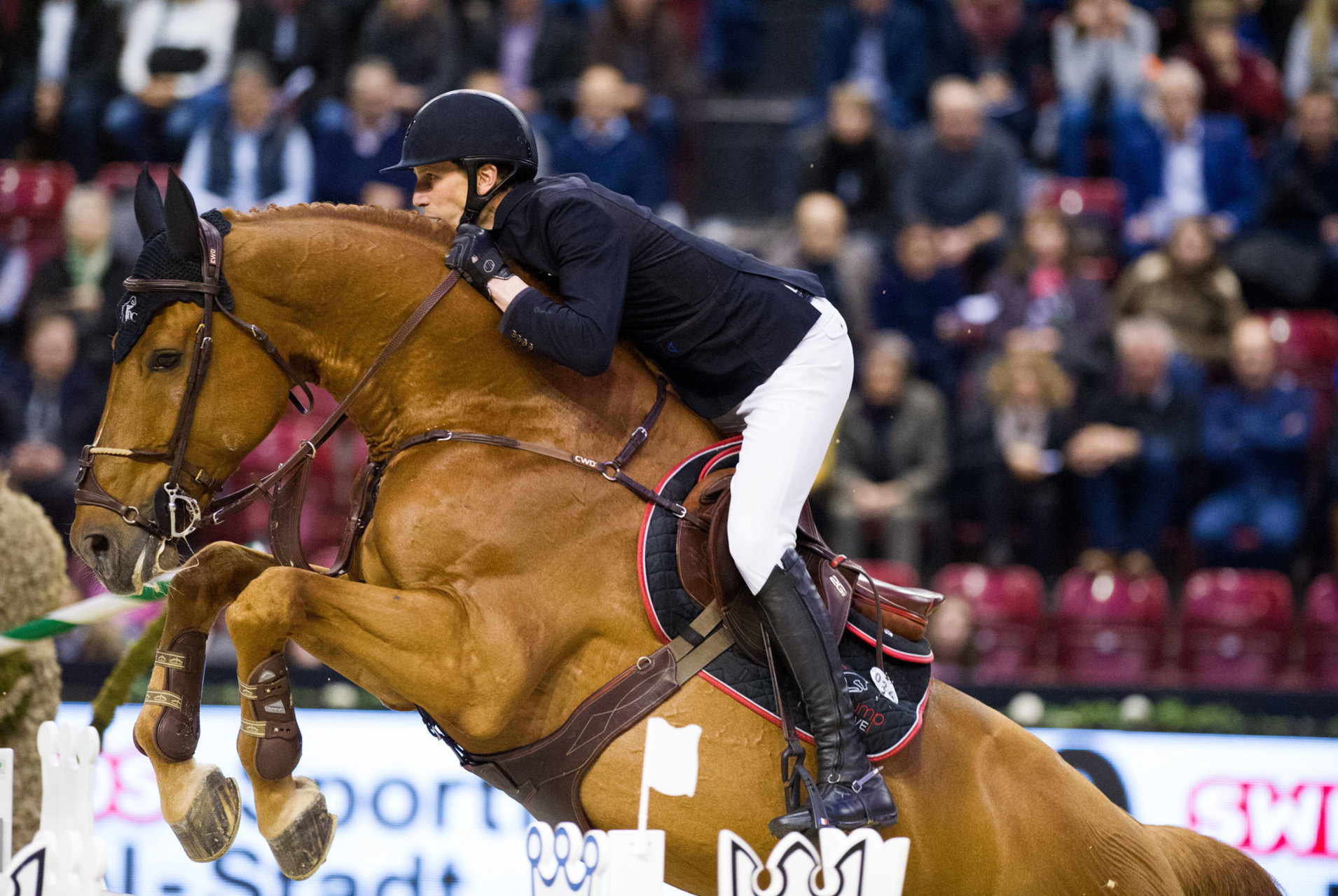 Video Streaming TV & Website - showjumping