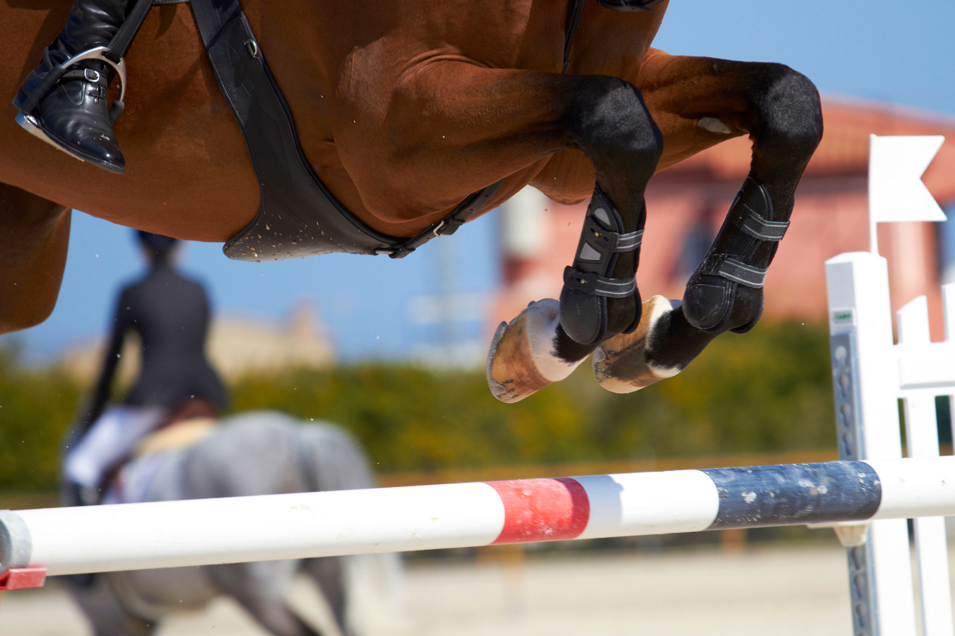 Equestrian timing systems